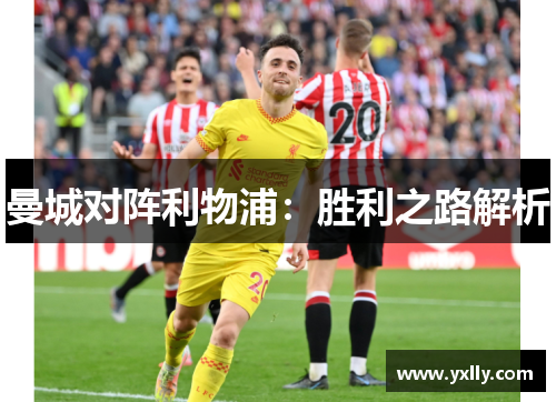 曼城对阵利物浦：胜利之路解析