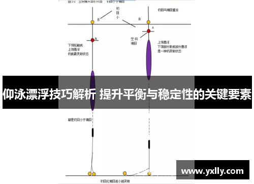 仰泳漂浮技巧解析 提升平衡与稳定性的关键要素