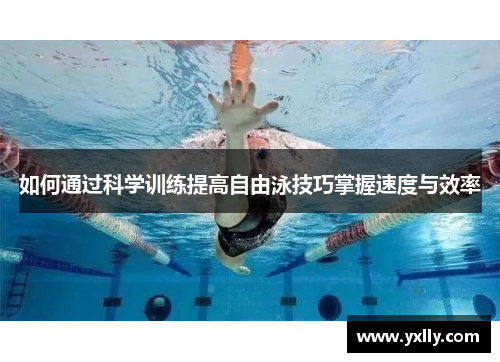 如何通过科学训练提高自由泳技巧掌握速度与效率