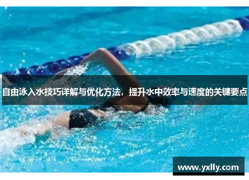 自由泳入水技巧详解与优化方法，提升水中效率与速度的关键要点