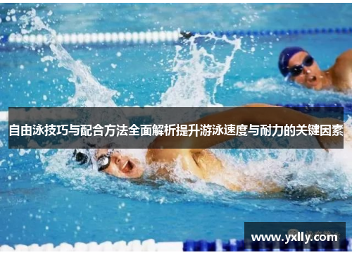 自由泳技巧与配合方法全面解析提升游泳速度与耐力的关键因素