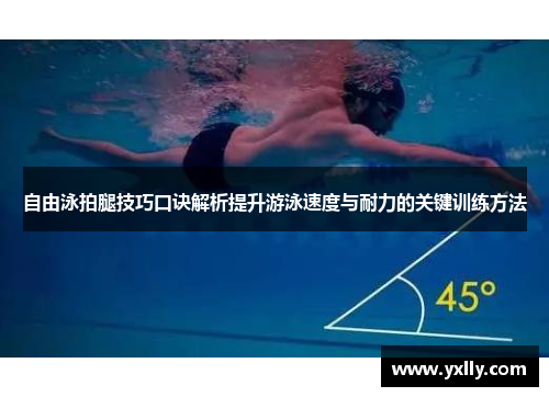自由泳拍腿技巧口诀解析提升游泳速度与耐力的关键训练方法