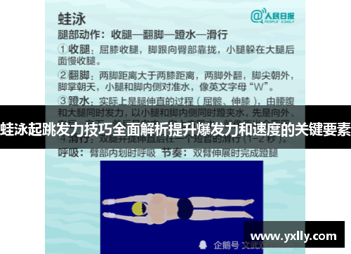 蛙泳起跳发力技巧全面解析提升爆发力和速度的关键要素