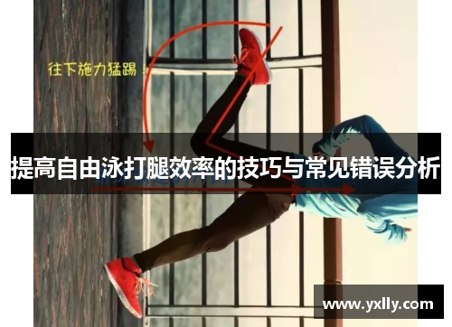 提高自由泳打腿效率的技巧与常见错误分析